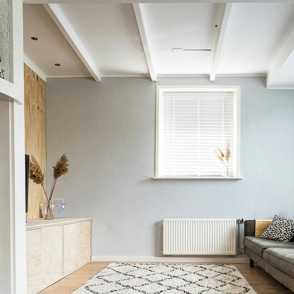 Peinture extérieure Segré Angers Le Lion d'Angers