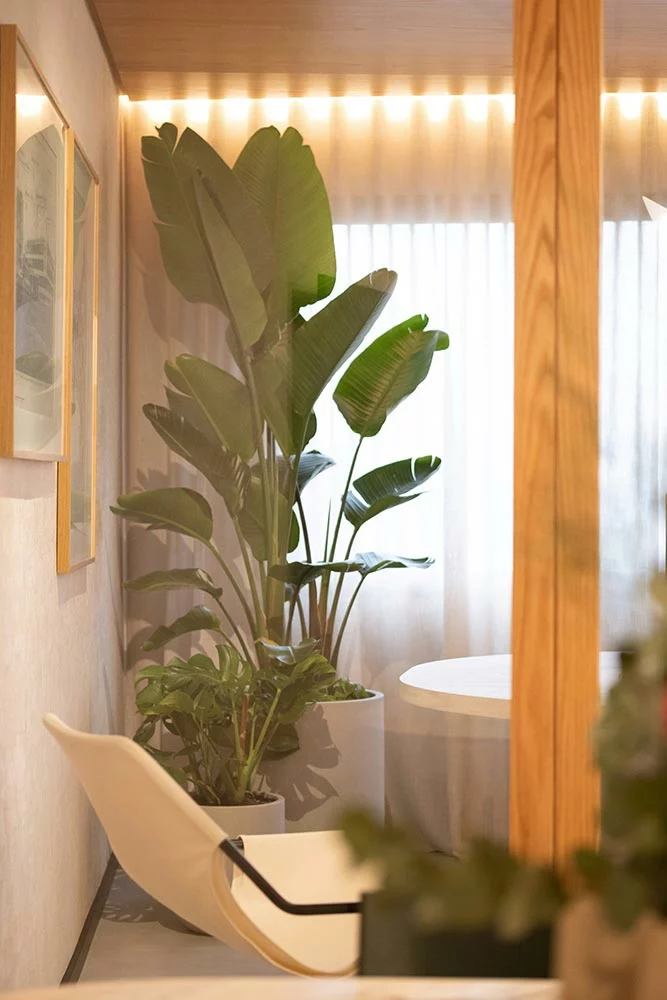 Rénovation peinture et béton ciré bureau Angers